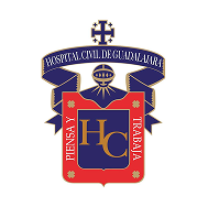HCG Logo